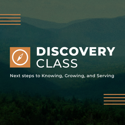 next steps 4